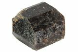 Large, Brown Dravite Tourmaline Crystal - Western Australia #96313-2